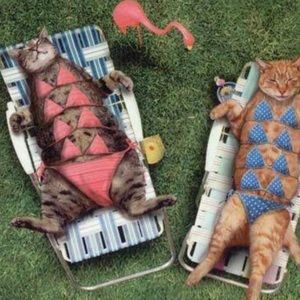 Meet your Posher, Jacki